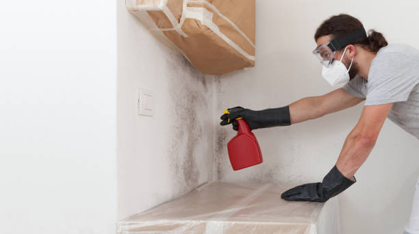 Professional Crawl Space Mold Remediation technician working in Hesston, PA